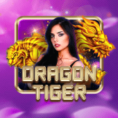 okplay Dragon Tiger live casino game